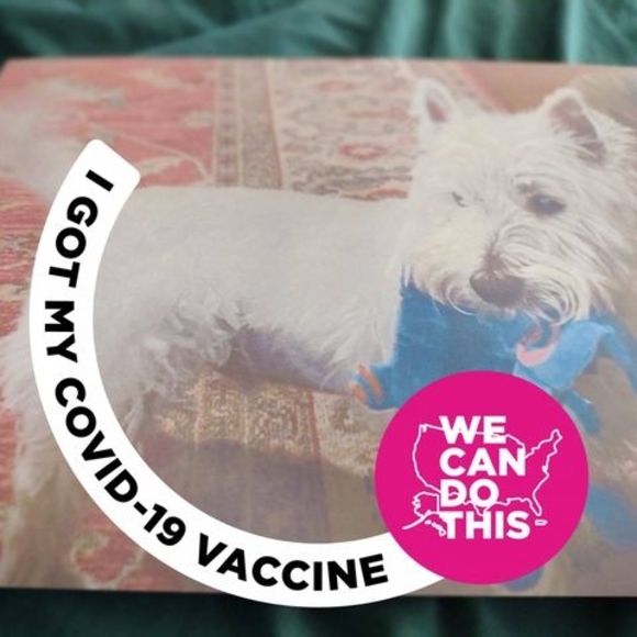 Meet your Posher, Toby - Picture 1 of 1